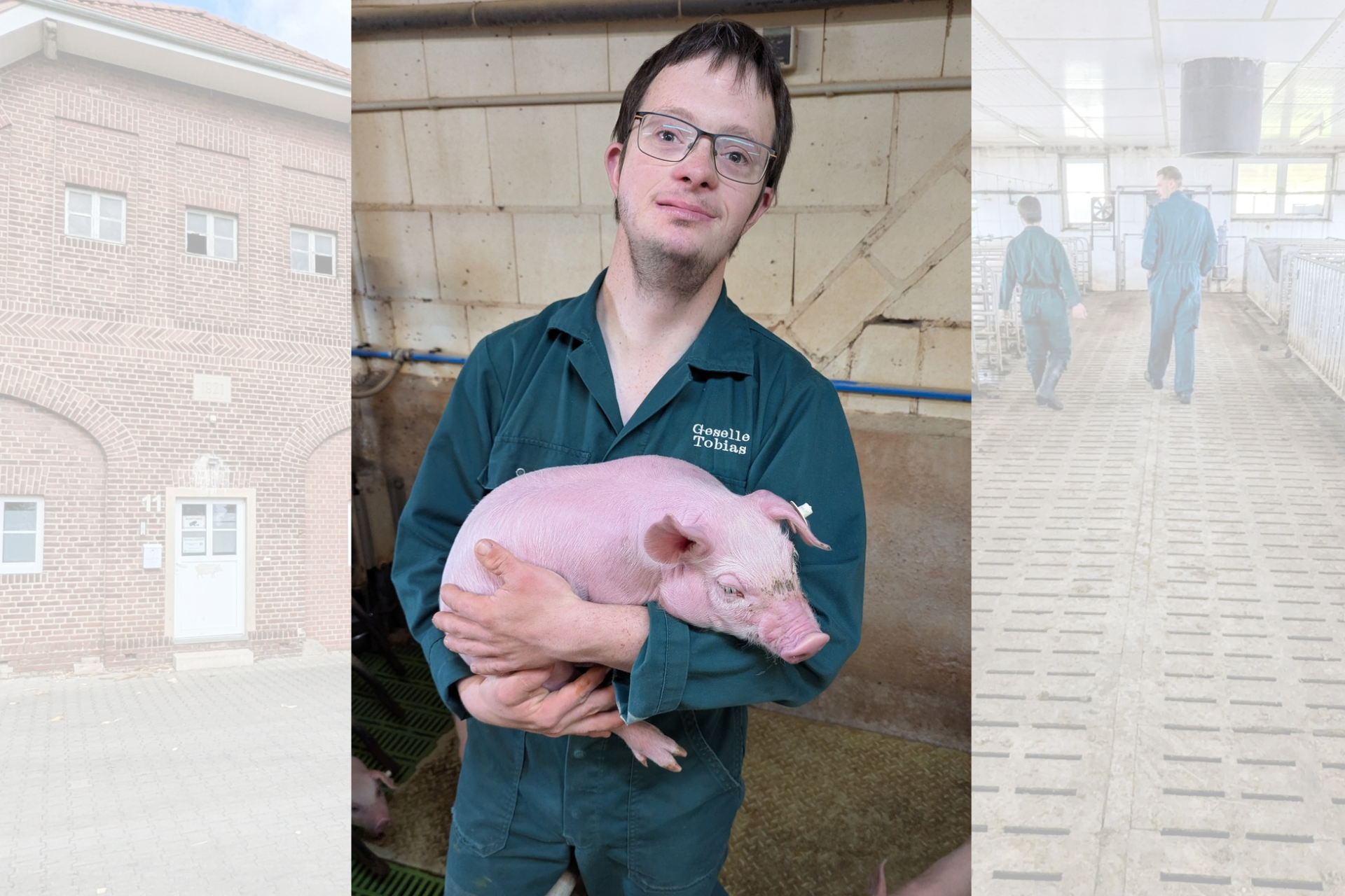 Tobias Koddebusch h&auml;lt eines seiner Ferkel behutsam auf dem Hof in Coesfeld in den H&auml;nden. 