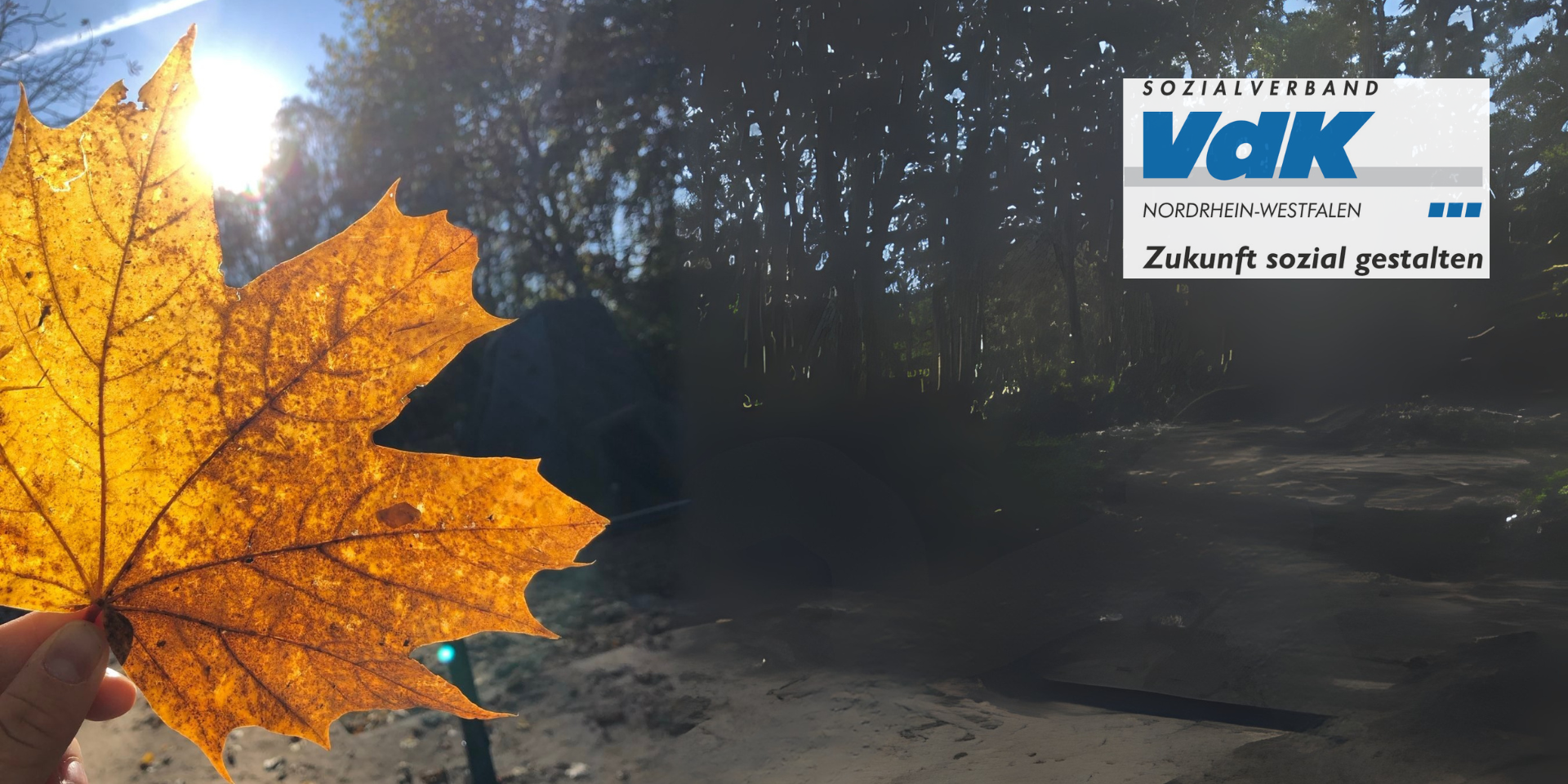 herbstliche Stimmung zum Jahresende Ein orangeverfärbtes Ahornblatt leuchtet gegen die Sonne gehalten. In der oberen, rechten Ecke das Logo des VdK-NRW mit Slogan: Zukunft sozial gestalten.