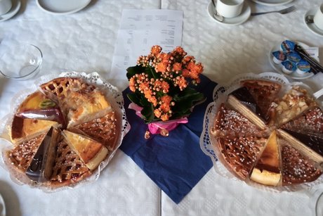 Zwei gemischte Kuchenplatten mit einem Blumentopf