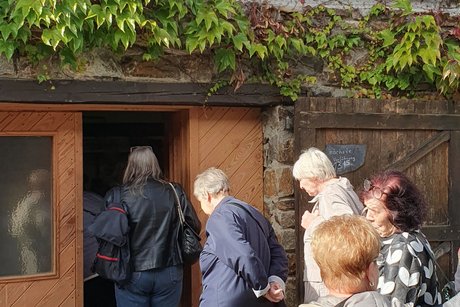 Senfmühle Senfmühle