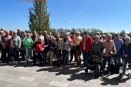 Es befinden sich Personen mit und ohne Rollator auf dem Bild, die sich das Blumenmeer im Keukenhof anschauen