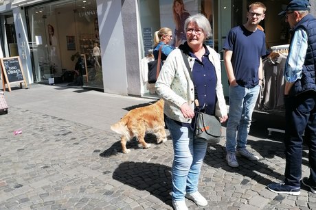 Impressionen