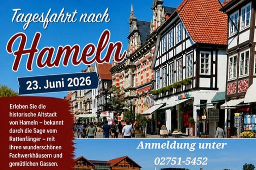 Das Plakat zeigt Ausschnitte der idyllischen Innenstadt von Hameln.