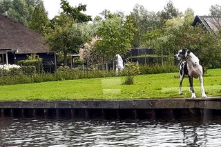 Impressionen am Ufer der Kanäle