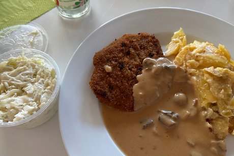 Teller mit Schnitzel, Pilzrahmsauce, Kartoffelgratin, daneben Schale mit Krautsalat