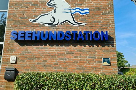 Auf einer roten, sonnenbeschienenen Klinker-Mauer prangt ein großer Schriftzug Seehundstation. Darüber hängt ein Bild von einem weißen Heuler.