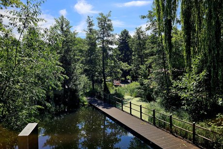 im Park bei Gurken Paule