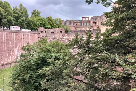 Inmitten von viel Grün ist ein Teil des Heidelberger Schlosses zu sehen.