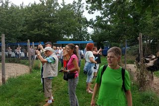 Eine große Besuchergruppe steht zwischen zwei mit Maschendraht abgezäunten Weiden und fotografiert die Strauße. Im Hintergrund wartet eine blauweiße Bimmelbahn.