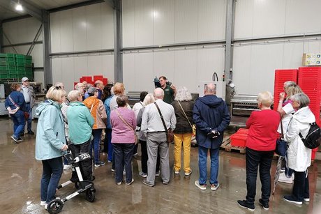 Erklärung der Spargel Sortiermaschine