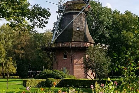 Eine Windmühle steht in einer Parklandschaft mit Bäumen im Hintergrund und blühenden Blumen im Vordergrund.