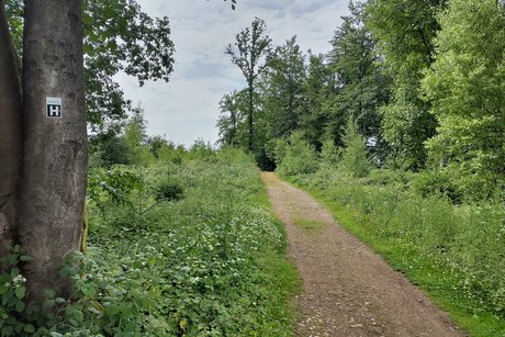 Wandern