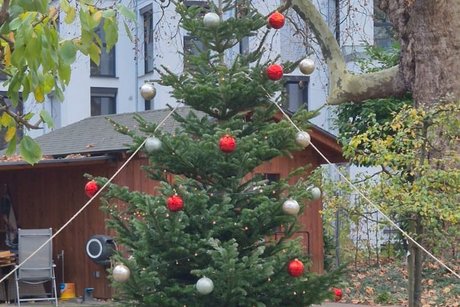 Tag der Begegnung im Altenheim Marienhaus. Weihnachtsbaum.