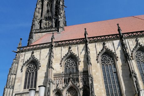 Dom