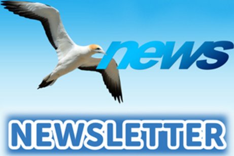 Newsletter Ortsverbands Wickrath / Rheindahlen / Hardt