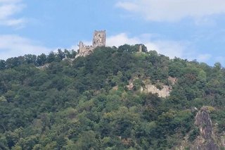 Inmitten eines bewaldeten Hügels ragen die steinernen Reste einer alten Burg in den Himmel.