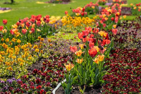Blumen