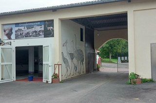 Ein mit Straußenbildern verziertes Gebäude mit Toreinfahrt. Links davon die geöffnete Doppelflügeltür zum Straußenmuseum.