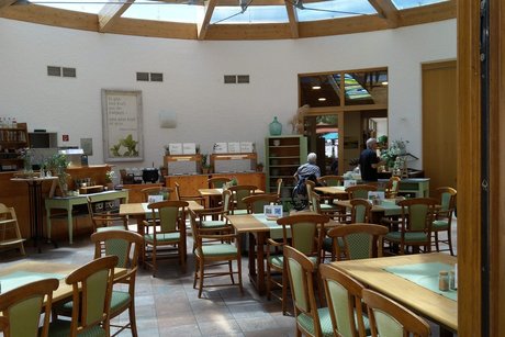 Hildegard Forum