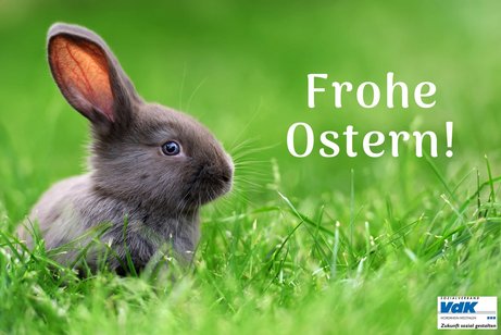 Osterhase sitzt im grünen.