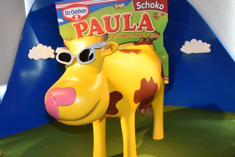 Paula Im Bild steht Paula dahinter eine große Tüte von Dr. Oetker Puddingpulver.