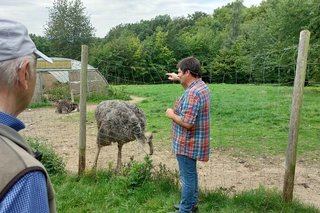 Ein Mann steht am Maschendrahtzaun des Straußengeheges und erklärt etwas. Neben ihm steht direkt hinter dem Zaun ein Vogel Strauß.