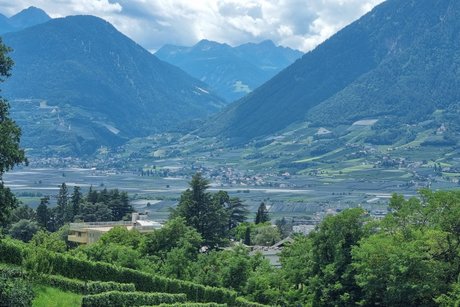 Besuch Weingut Schloss Rametz Meran