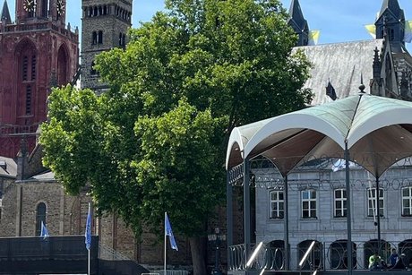 Schöner Platz mit Baum