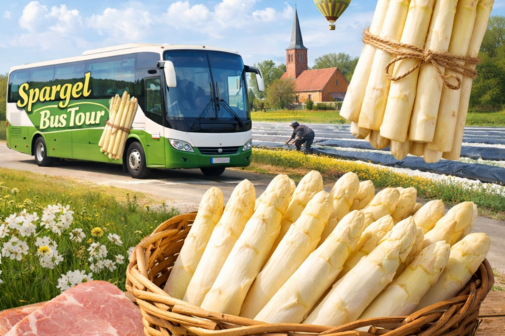 Spargel