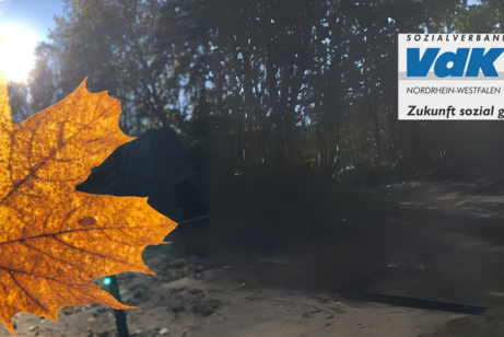 Ein orangeverfärbtes Ahornblatt leuchtet gegen die Sonne gehalten. In der oberen, rechten Ecke das Logo des VdK-NRW mit Slogan: Zukunft sozial gestalten.