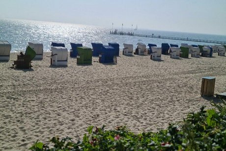 Zahlreiche bunte Strandkörbe stehen am Strand von Föhr.