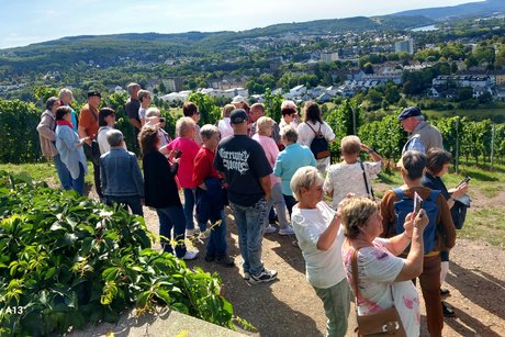 Auf dem Petrisberg