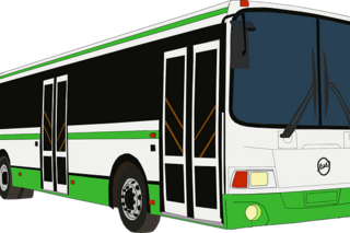 bus