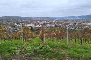 Blick auf Trier