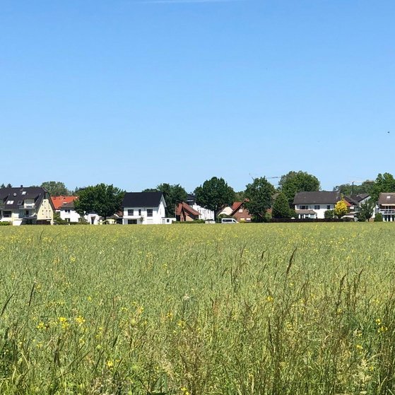 Elsen, Ortsrand Süd/West Elsen, Ortsrand Süd/West
