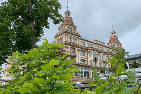 Schloss&auml;hnliches Geb&auml;ude mit B&auml;umen