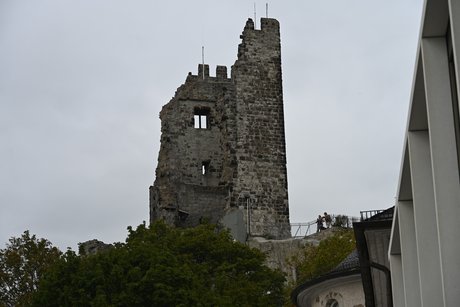 Ruine der der Burg Drachenfels