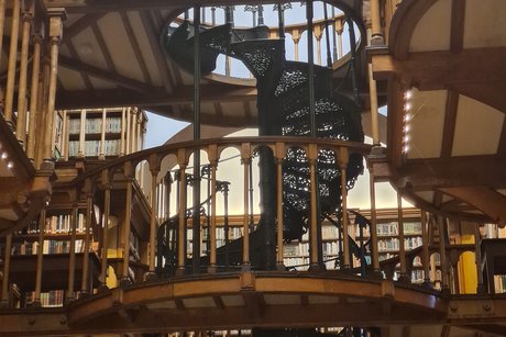 Unser Höhepunkt der Führung: die Bibliothek