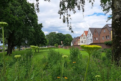 Grüngürtel Blick vom Park auf die Häuser am Stadtrand