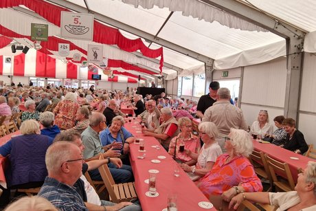 bild8