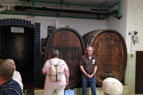 Teilnehmende der Wochenfahrt lauschen den Ausführungen bei der Führung im Weinkeller; im Hintergrund sind zwei große Weinfässer aus Holz zu sehen.