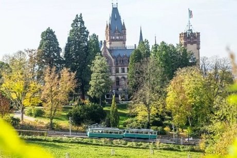 Drachenfels
