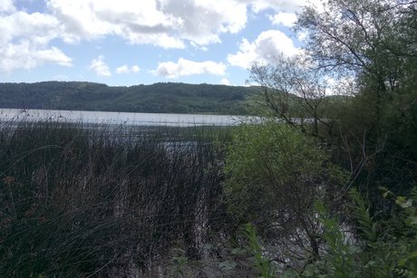 Der Laacher See