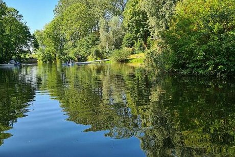Blick aus dem Boot heraus auf das fast spiegelglatte Wasser und die Bäume am Ufer, die sich im Wasser spiegeln.