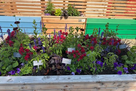 Landesgartenschau Neuss Landesgartenschau Neuss