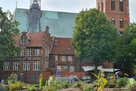 Alte Ziegelhäuser säumen einen kleinen städtischen Garten. Im Hintergrund die St. Petri Kirche.