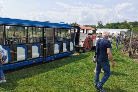 Straußenfarm die Bimmelbahn