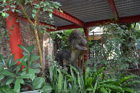 Blumen und Pflazen bei Emsflower sind mit großem Dinosaurier dekoriert