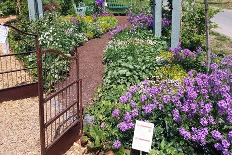 Blumen der Landesgartenschau