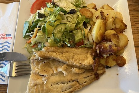 Tagesfahrt zum Dümmer See zur Fisch- und Aalräucherei Hoffmann